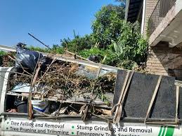 Best Yard Waste Removal  in Leipsic, OH
